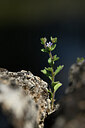 BUITEN BEELD Foto: 438856