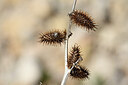 BUITEN BEELD Foto: 438861