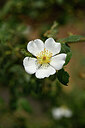 BUITEN BEELD Foto: 438865