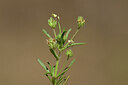 BUITEN BEELD Foto: 438868