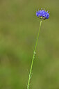 BUITEN BEELD Foto: 438873