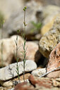 BUITEN BEELD Foto: 438874