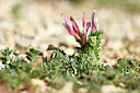 BUITEN BEELD Foto: 438885