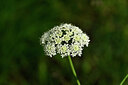 BUITEN BEELD Foto: 438888