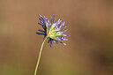 BUITEN BEELD Foto: 438891