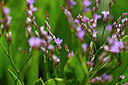 BUITEN BEELD Foto: 438901