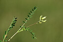 BUITEN BEELD Foto: 438905