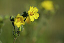 BUITEN BEELD Foto: 438924