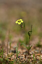 BUITEN BEELD Foto: 438931