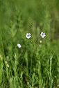 BUITEN BEELD Foto: 438934
