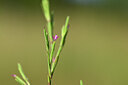 BUITEN BEELD Foto: 438935