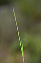 BUITEN BEELD Foto: 438941