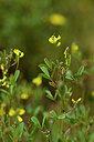 BUITEN BEELD Foto: 438970