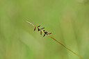 BUITEN BEELD Foto: 438971