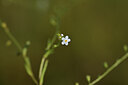 BUITEN BEELD Foto: 438976