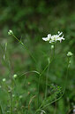BUITEN BEELD Foto: 438981