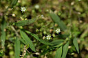 BUITEN BEELD Foto: 438988