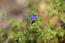 BUITEN BEELD Foto: 438990