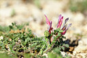 BUITEN BEELD Foto: 438994