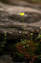 BUITEN BEELD Foto: 438999