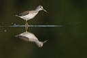 BUITEN BEELD Foto: 43007