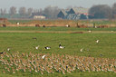 BUITEN BEELD Foto: 43034