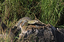 BUITEN BEELD Foto: 43072