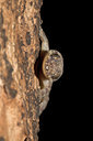 BUITEN BEELD Foto: 43098