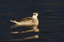 BUITEN BEELD Foto: 43103