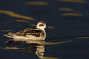 BUITEN BEELD Foto: 43104