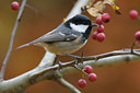 BUITEN BEELD Foto: 43116