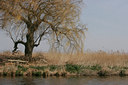 BUITEN BEELD Foto: 43129