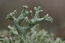 BUITEN BEELD Foto: 43149