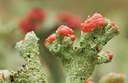 BUITEN BEELD Foto: 43152