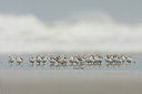 BUITEN BEELD Foto: 43192