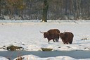 BUITEN BEELD Foto: 43238