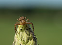 BUITEN BEELD Foto: 43239