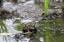 BUITEN BEELD Foto: 43257