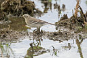 BUITEN BEELD Foto: 43266