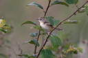 BUITEN BEELD Foto: 43271