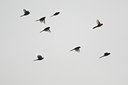 BUITEN BEELD Foto: 43281