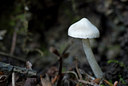 BUITEN BEELD Foto: 43320