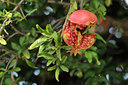 BUITEN BEELD Foto: 43338