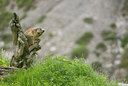 BUITEN BEELD Foto: 43348