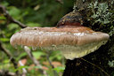 BUITEN BEELD Foto: 43380