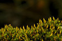BUITEN BEELD Foto: 43394