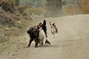 BUITEN BEELD Foto: 43421