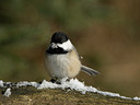 BUITEN BEELD Foto: 43603