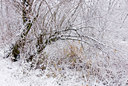 BUITEN BEELD Foto: 43632