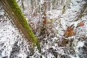 BUITEN BEELD Foto: 43636